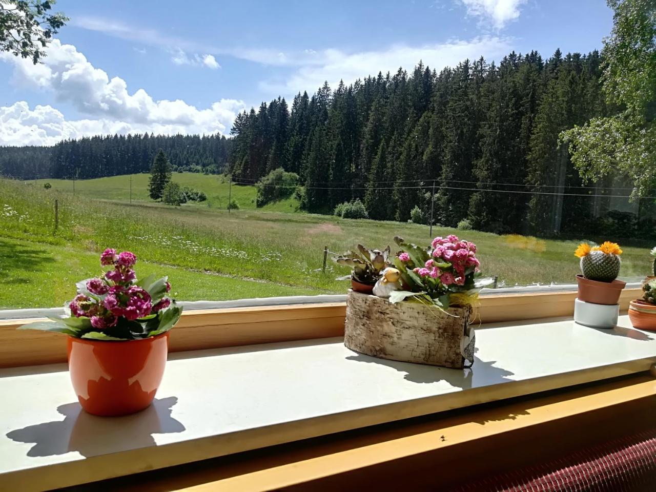 Hotel Kaltenbach